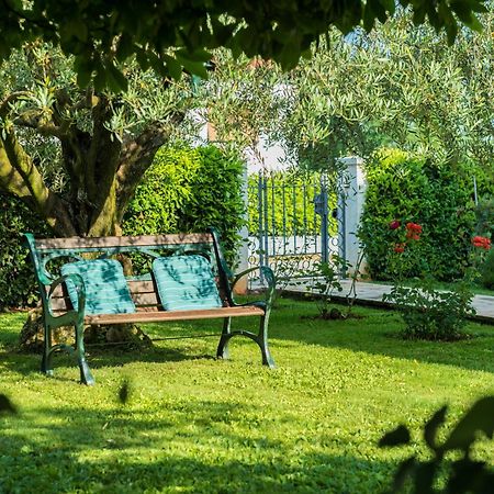B&B Carmela Umag Exteriér fotografie