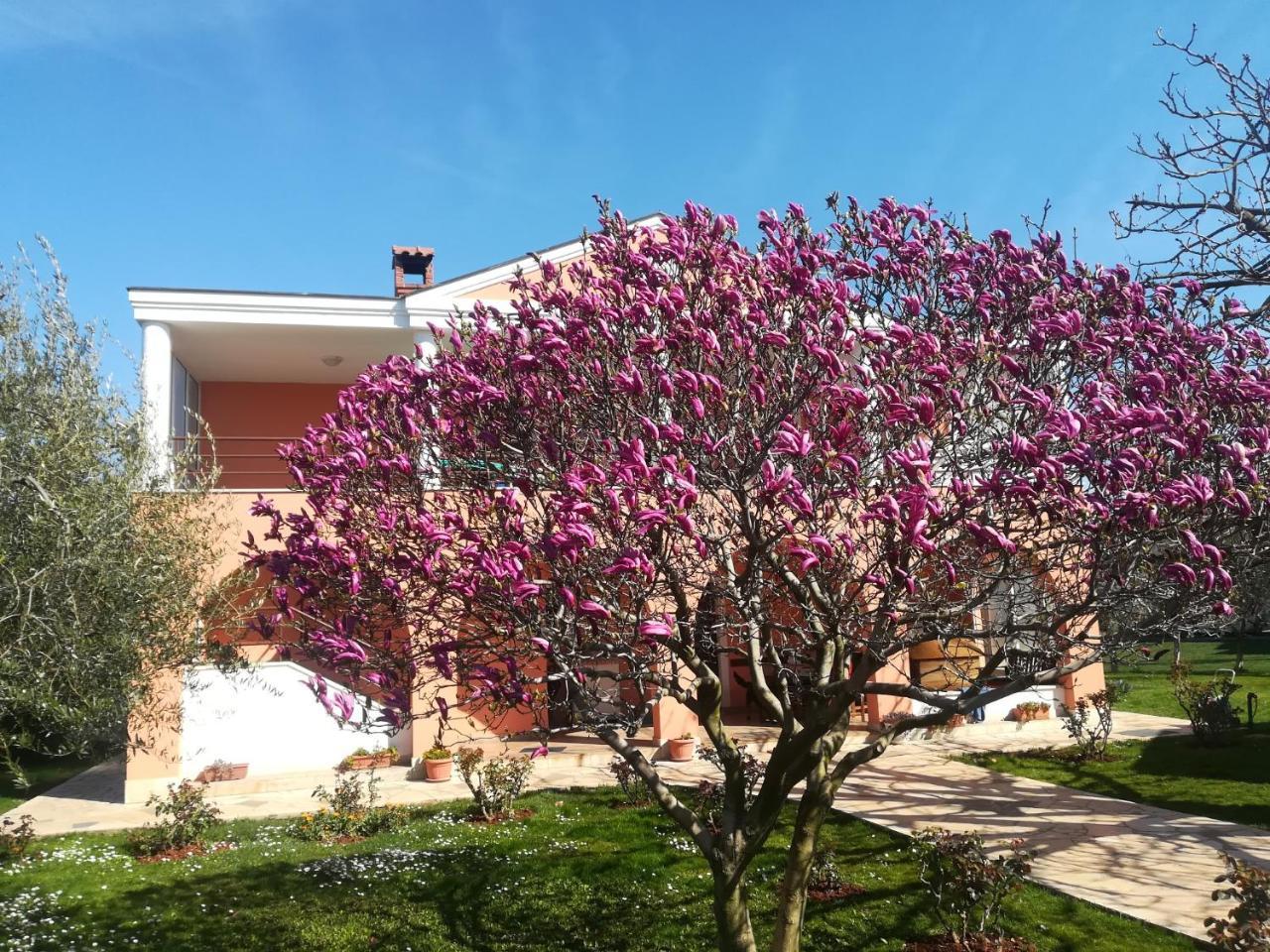 B&B Carmela Umag Exteriér fotografie