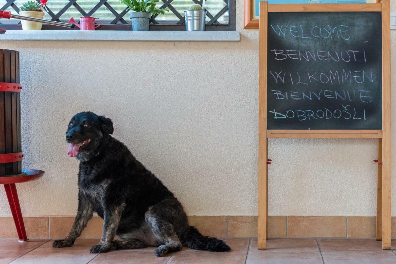 B&B Carmela Umag Exteriér fotografie
