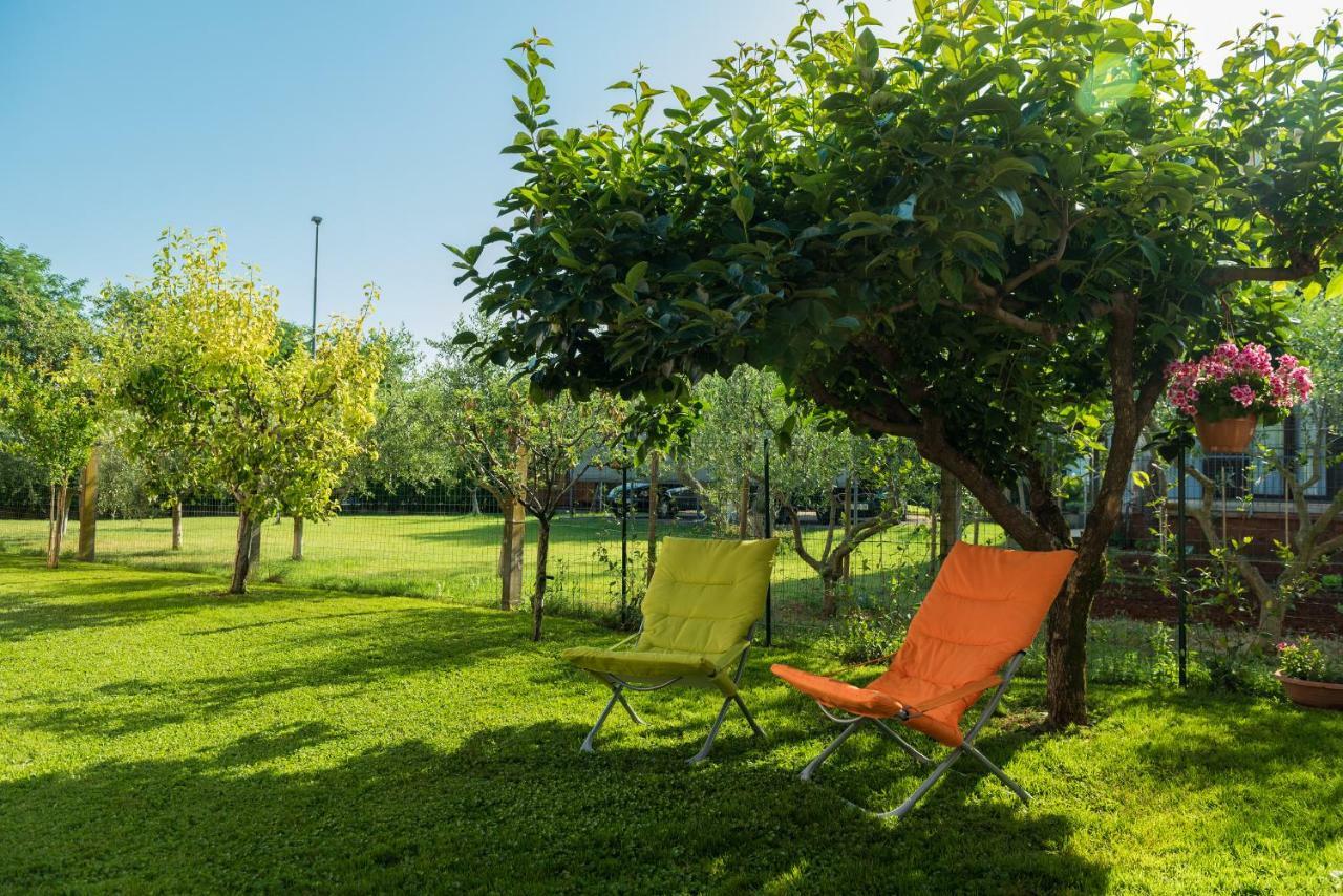 B&B Carmela Umag Exteriér fotografie
