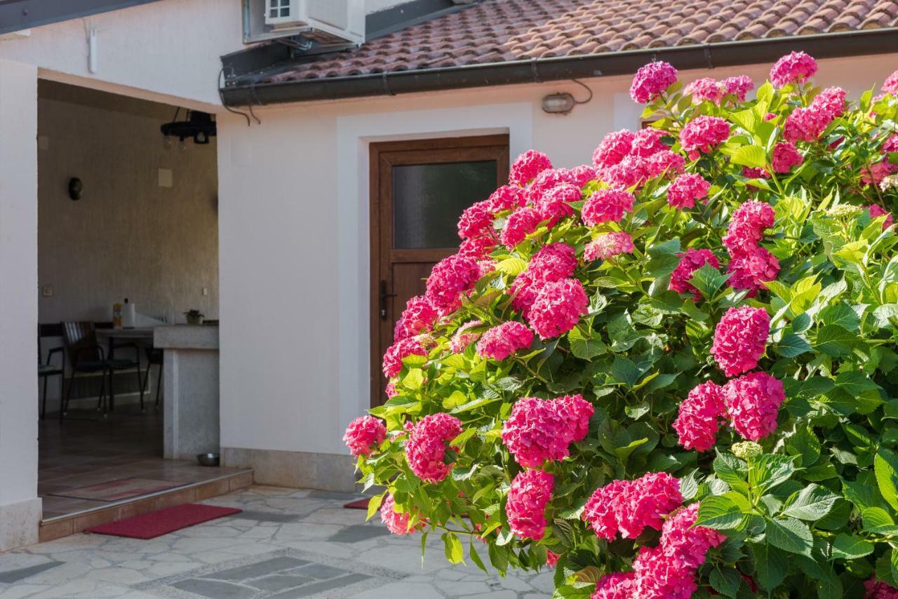 B&B Carmela Umag Exteriér fotografie