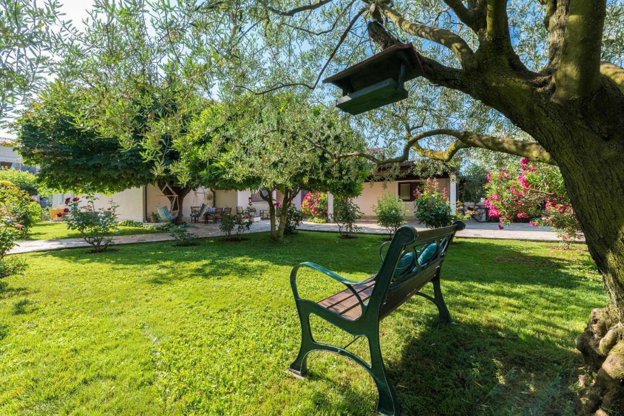 B&B Carmela Umag Exteriér fotografie