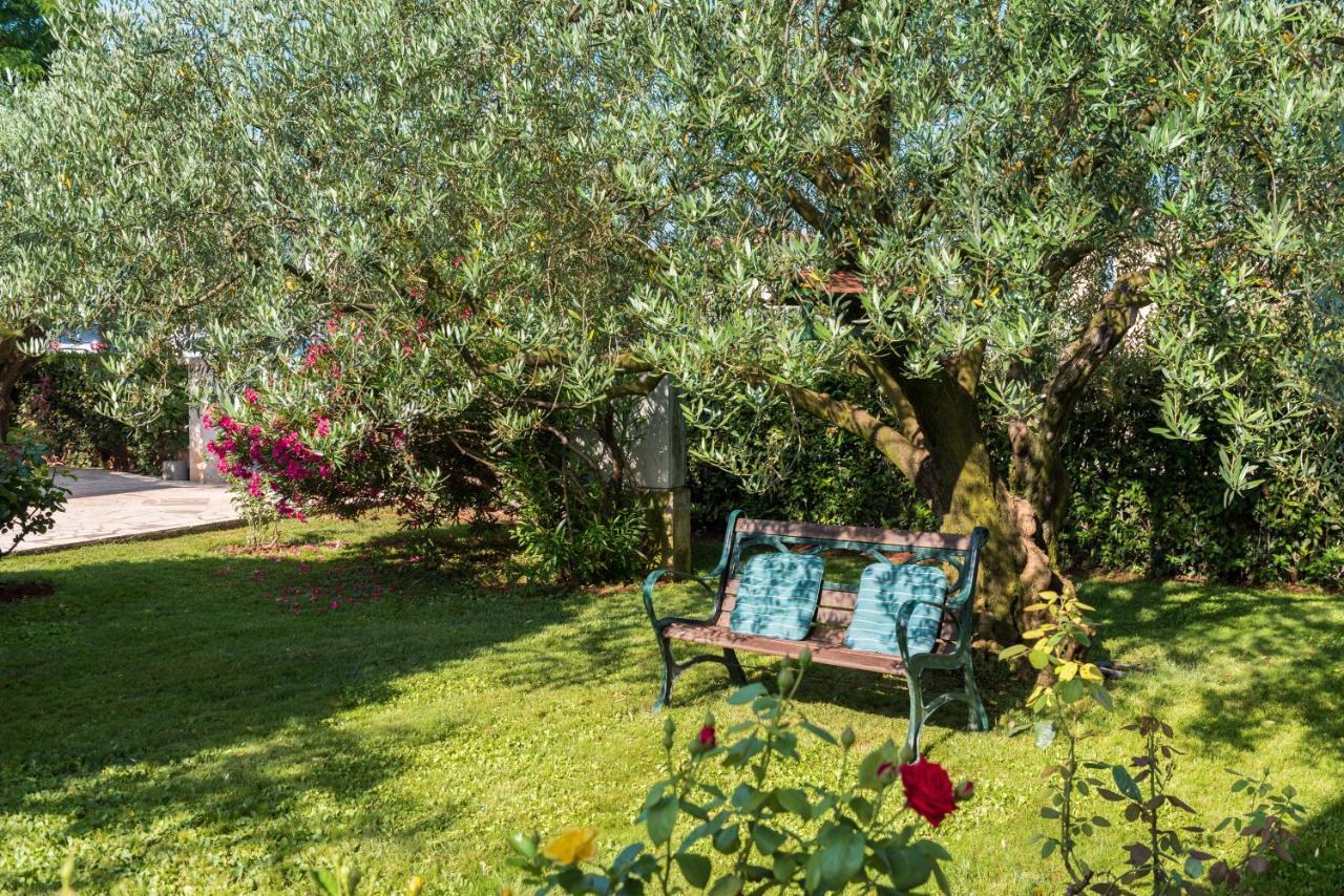 B&B Carmela Umag Exteriér fotografie